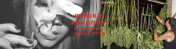 спиды Козельск