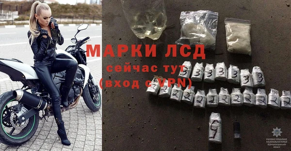 гашик Кодинск