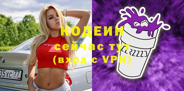 гашик Кодинск