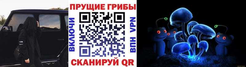Купить закладки  Сочи  Псилоцибиновые грибы MAGIC MUSHROOMS 