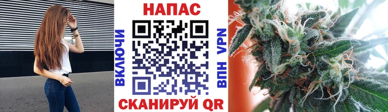 Конопля план  Купить  Сочи 